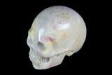 Realistic, Polished Fossil Coral Skull #116575-1